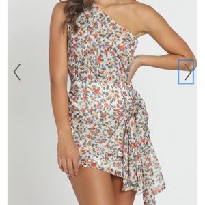 Showpo Two Of Us Dress in Floral NWT